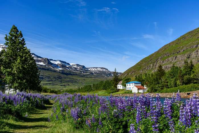 Porsche 911 GT3 (Escala 1:24)