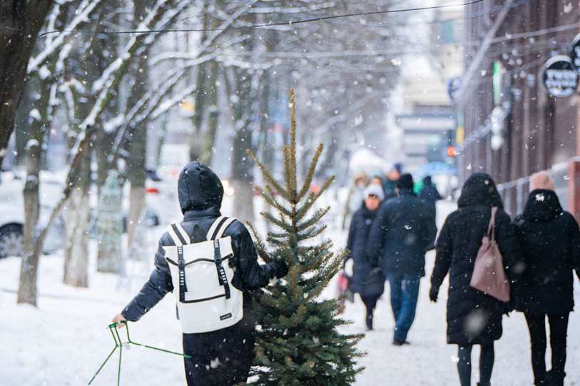 Cartas Pokemon
